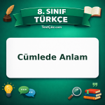 8. Sınıf Türkçe Cümlede Anlam Testi - testçöz.com