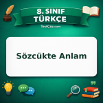 8. Sınıf Türkçe Sözcükte Anlam Testi - testçöz.com